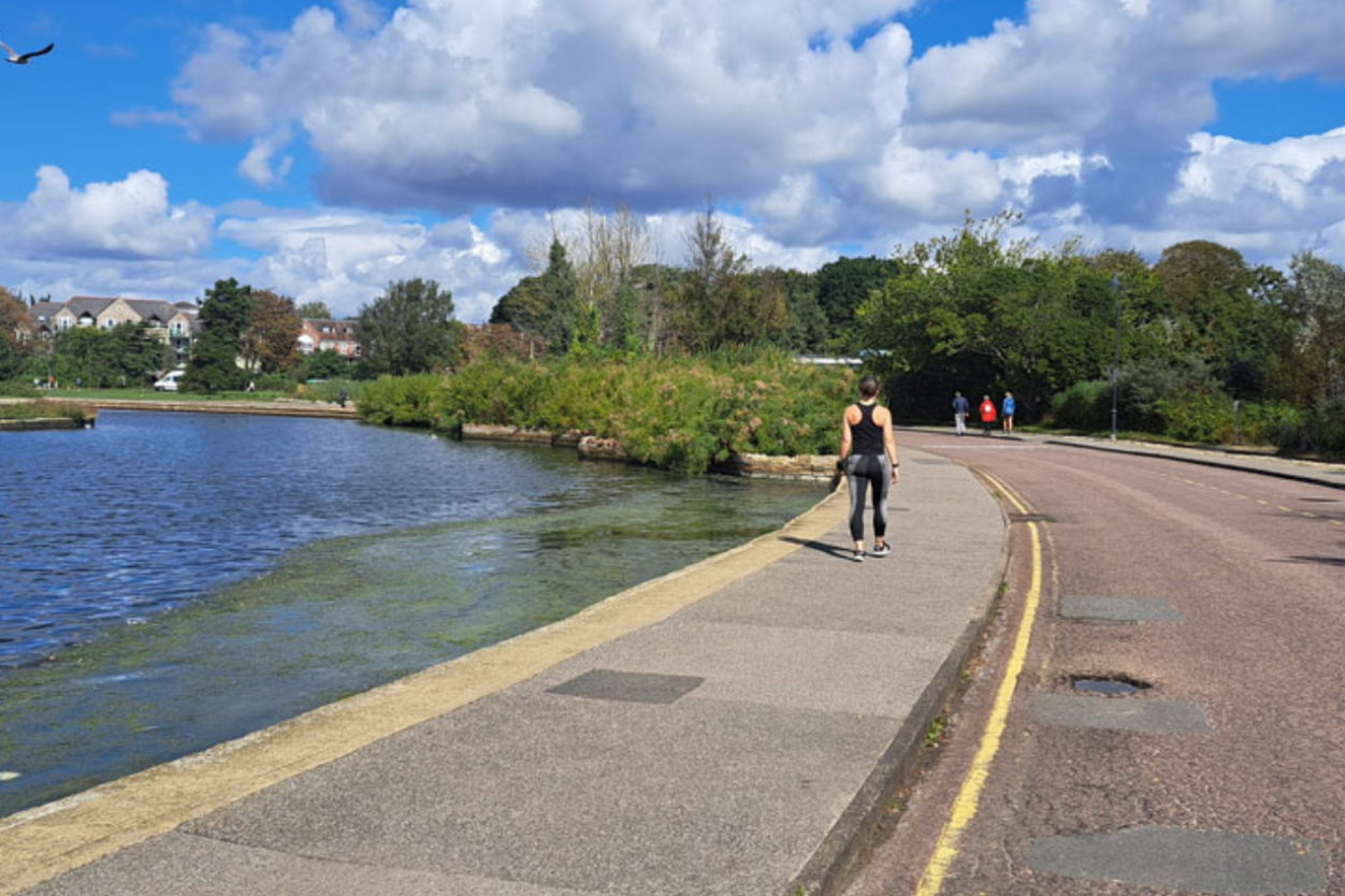 Poole Park Improvements to Bring New Gardens, Trees and Better Accessibility