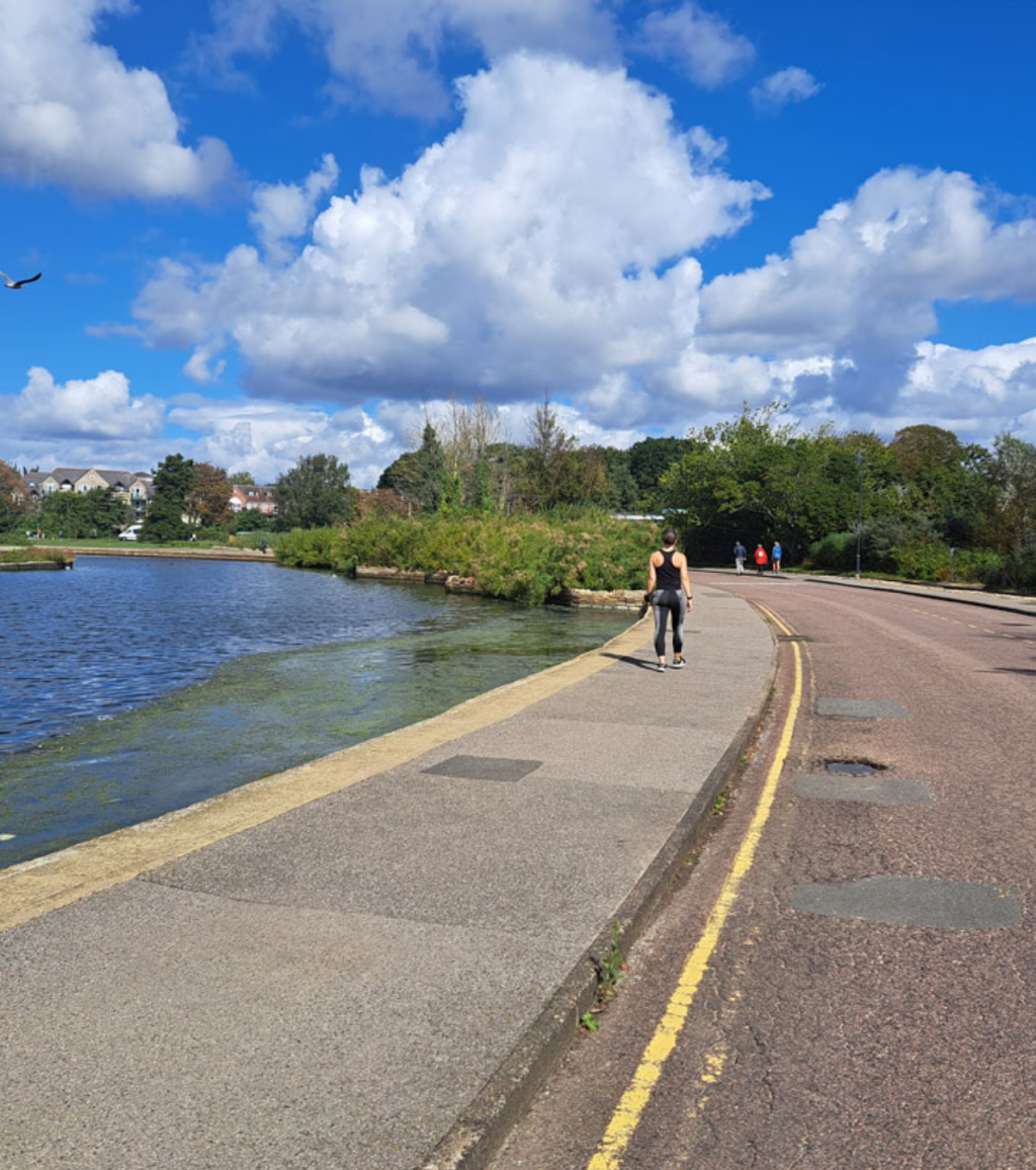 Poole Park Improvements to Bring New Gardens, Trees and Better Accessibility