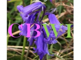 Christchurch Belles Women's Institute