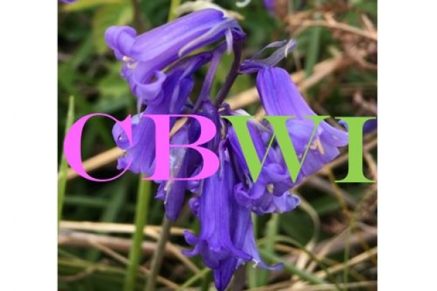 Christchurch Belles Women's Institute