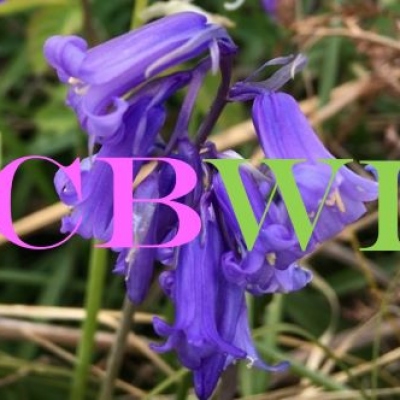 Christchurch Belles Women's Institute