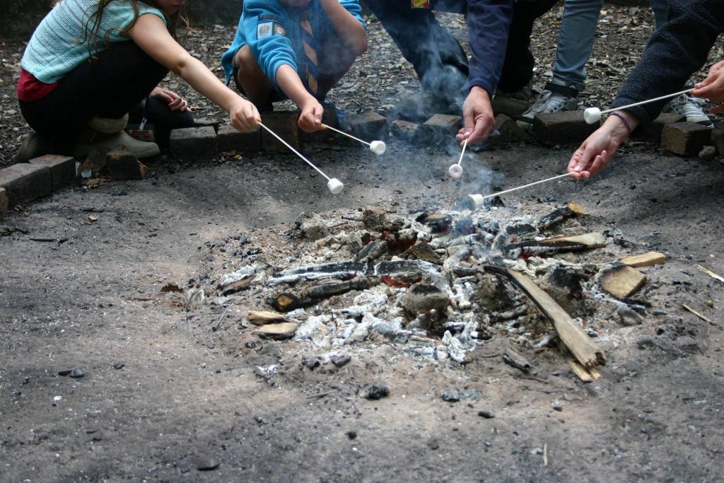 Poole District Scouts | Squirrels, Beavers, Cubs and Scouts in Poole