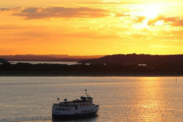 The Best Boat Trips from Poole Quay: Which Cruise Should You Choose?