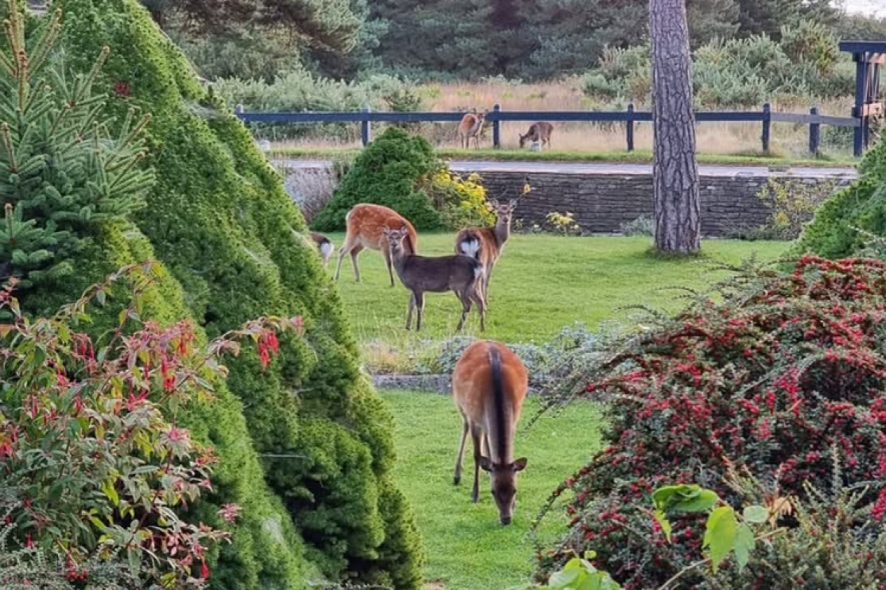 Enjoy the Best of Wildlife & Nature in Dorset