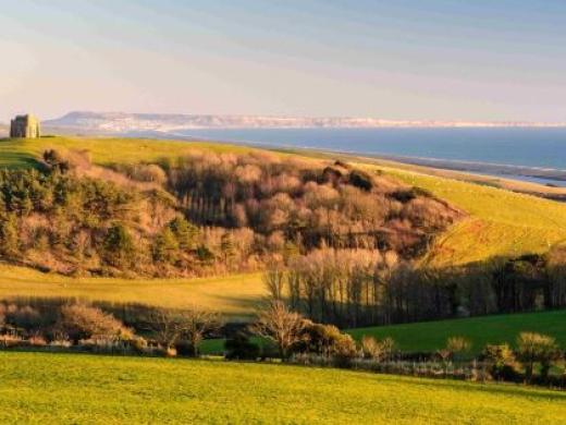Tree of Strings Festival: A New Music Celebration in Abbotsbury
