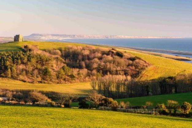 Tree of Strings Festival: A New Music Celebration in Abbotsbury