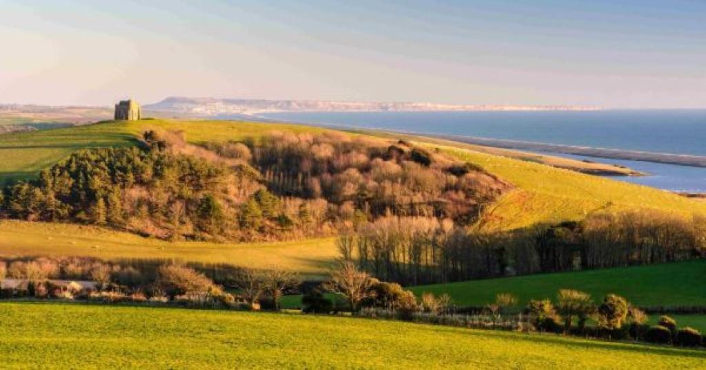 Tree of Strings Festival: A New Music Celebration in Abbotsbury