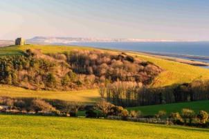 Tree of Strings Festival: A New Music Celebration in Abbotsbury