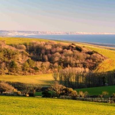 Tree of Strings Festival: A New Music Celebration in Abbotsbury