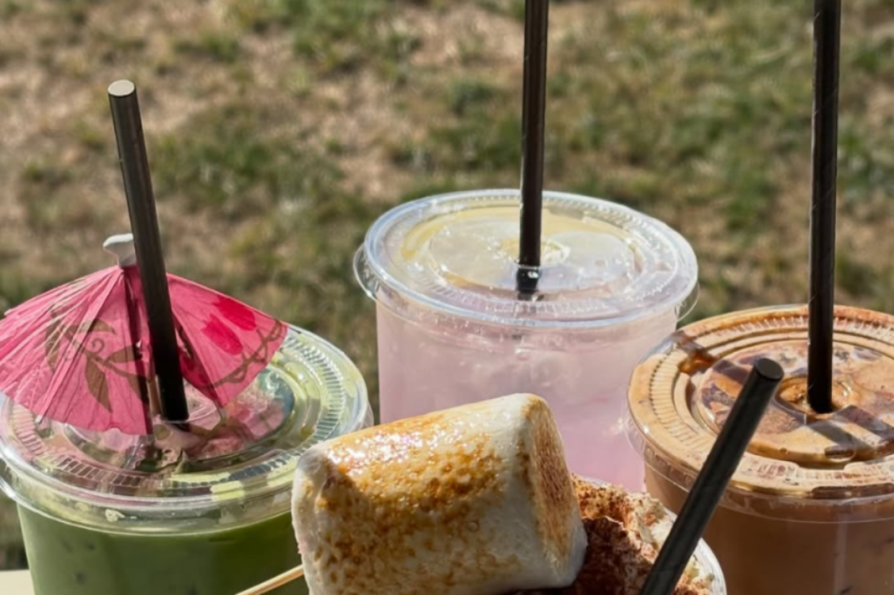 Christchurch Coffee Shops: 7 Independent Cafés Worth Trying