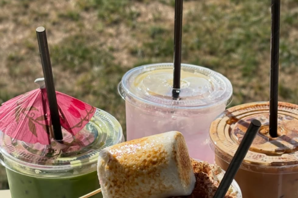 Christchurch Coffee Shops: 7 Independent Cafés Worth Trying