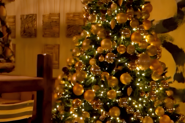 Bournemouth Christmas Parties 2026: Six Celebrations to Book Before the Best Dates Go