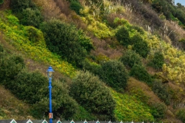 Things to Do in Bournemouth: Beaches, Attractions and Local Experiences