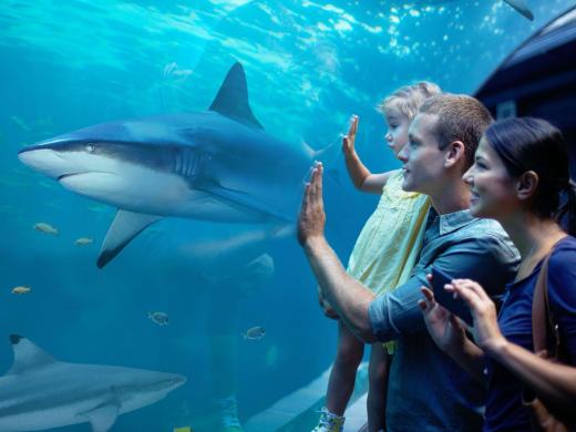 Five Brilliant Bournemouth Days Out for the Summer Holidays
