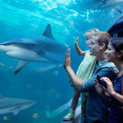 Five Brilliant Bournemouth Days Out for the Summer Holidays