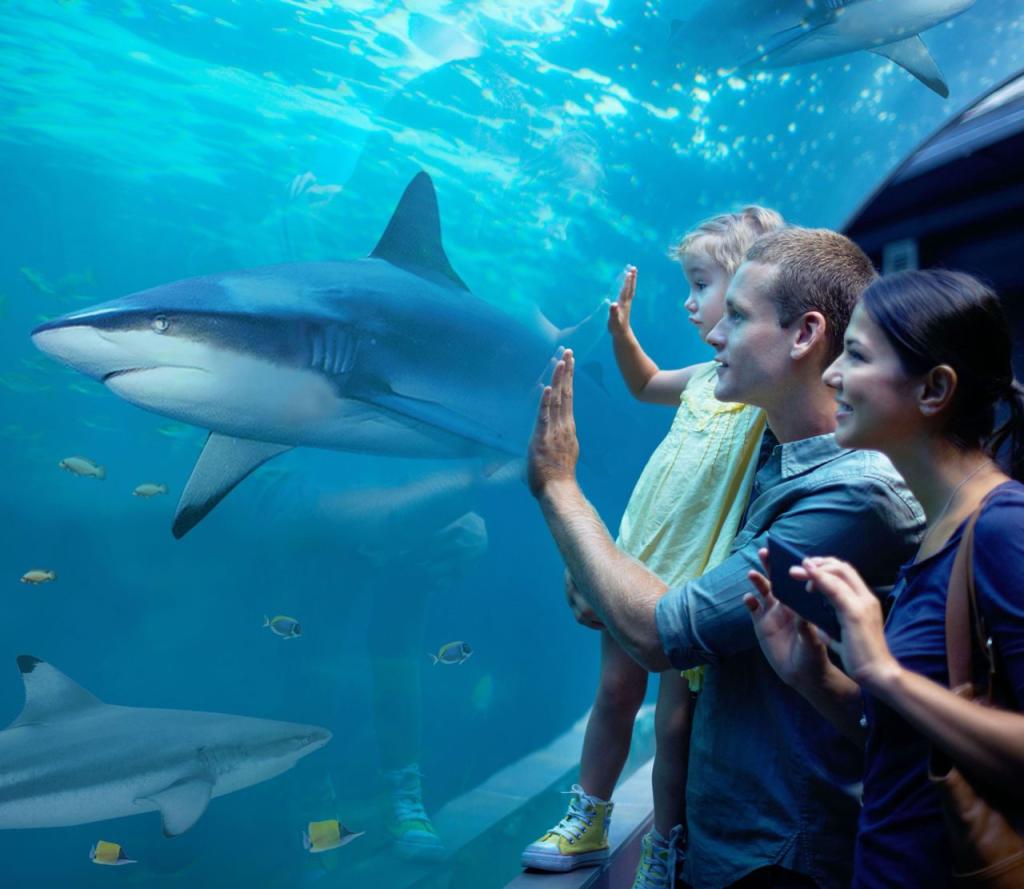 Five Brilliant Bournemouth Days Out for the Summer Holidays