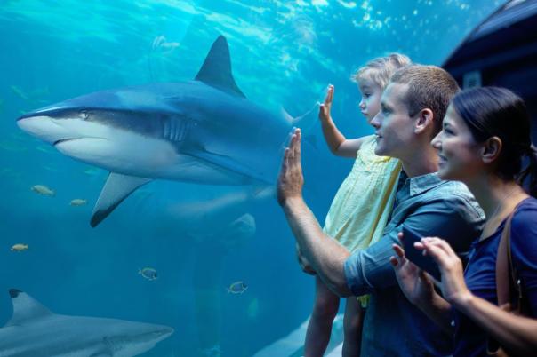 Five Brilliant Bournemouth Days Out for the Summer Holidays