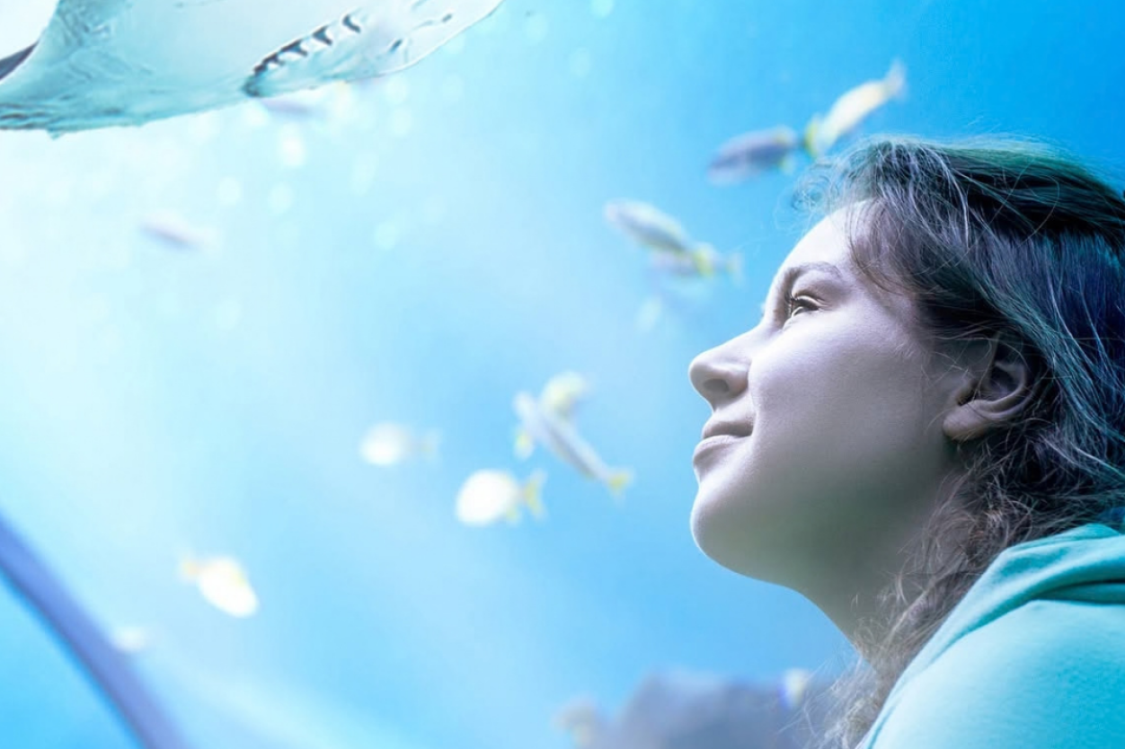 Things to Do in Bournemouth When It Rains: Indoor Activities and Days Out