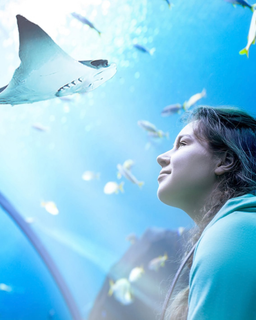 Things to Do in Bournemouth When It Rains: Indoor Activities and Days Out