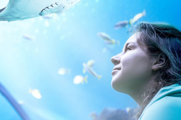 Things to Do in Bournemouth When It Rains: Indoor Activities and Days Out