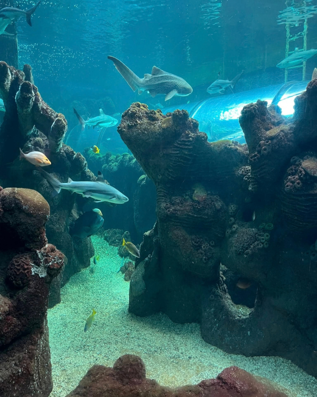 Things to Do in Bournemouth When It Rains: Indoor Activities and Days Out