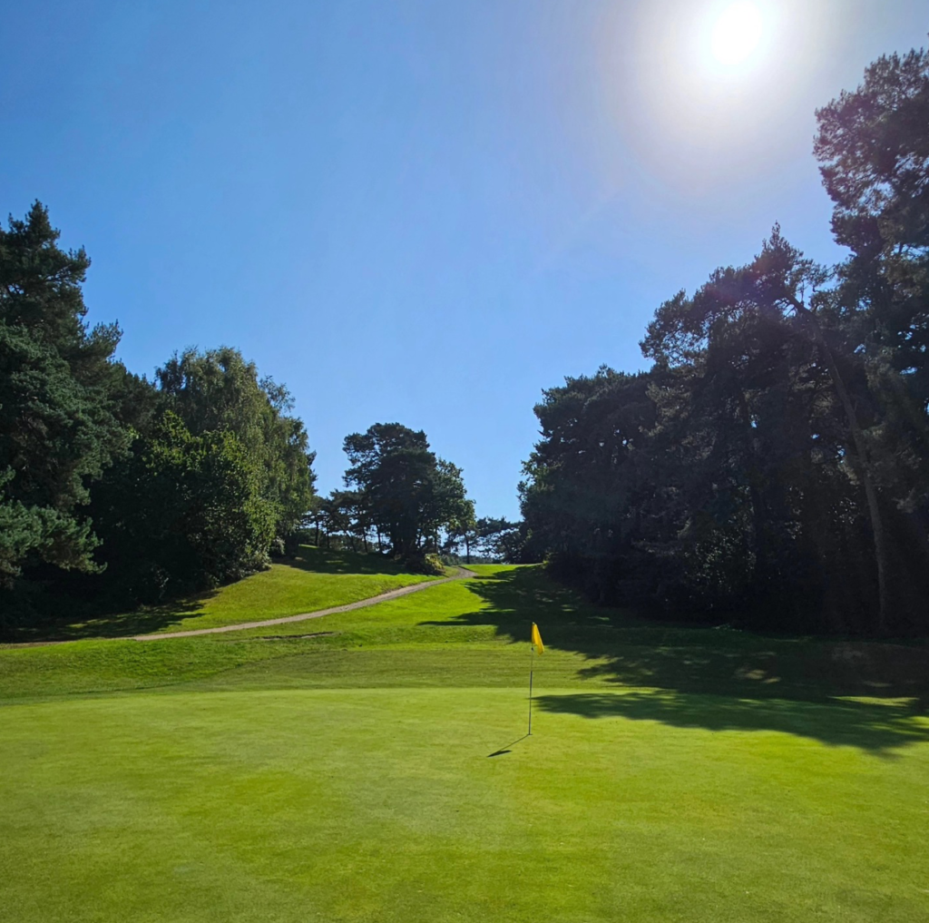 Best Areas to Live in Bournemouth: Choosing the Right Place