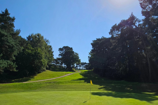 Best Areas to Live in Bournemouth: Choosing the Right Place