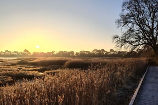Upton Country Park Poole | Visitor Guide