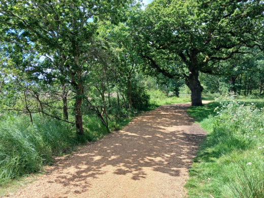 Upton Country Park Poole | Visitor Guide