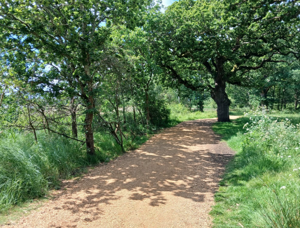 Upton Country Park Poole | Visitor Guide