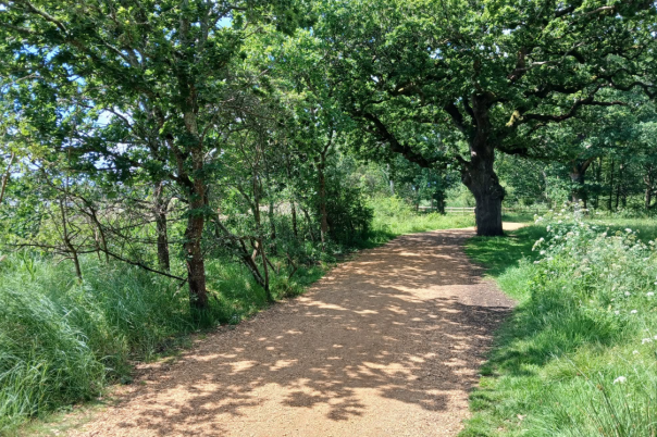 Upton Country Park Poole | Visitor Guide