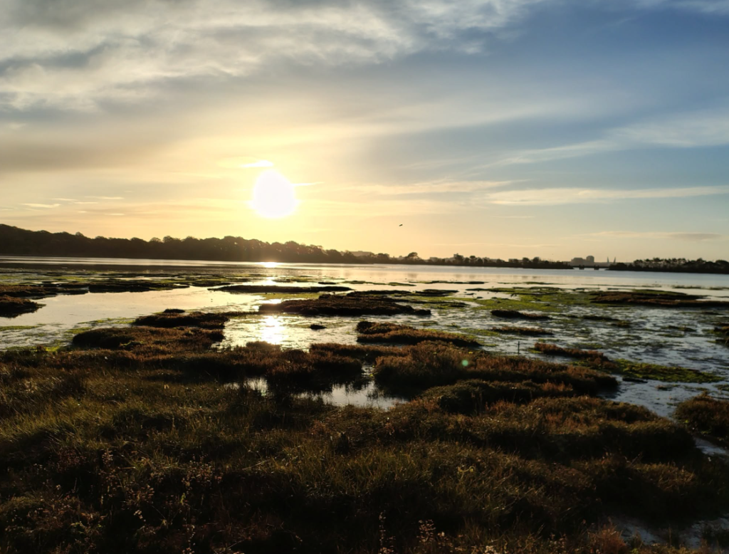 Upton Country Park Poole | Visitor Guide