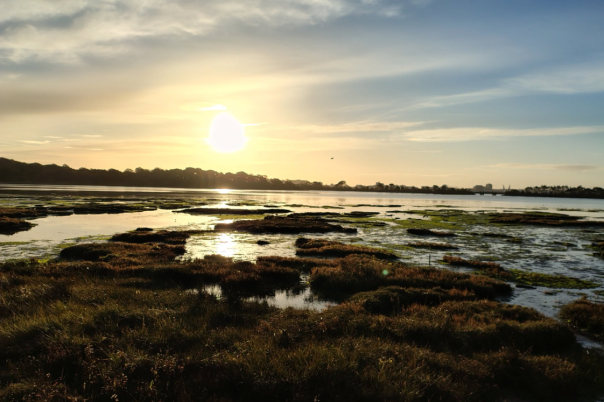 Upton Country Park Poole | Visitor Guide