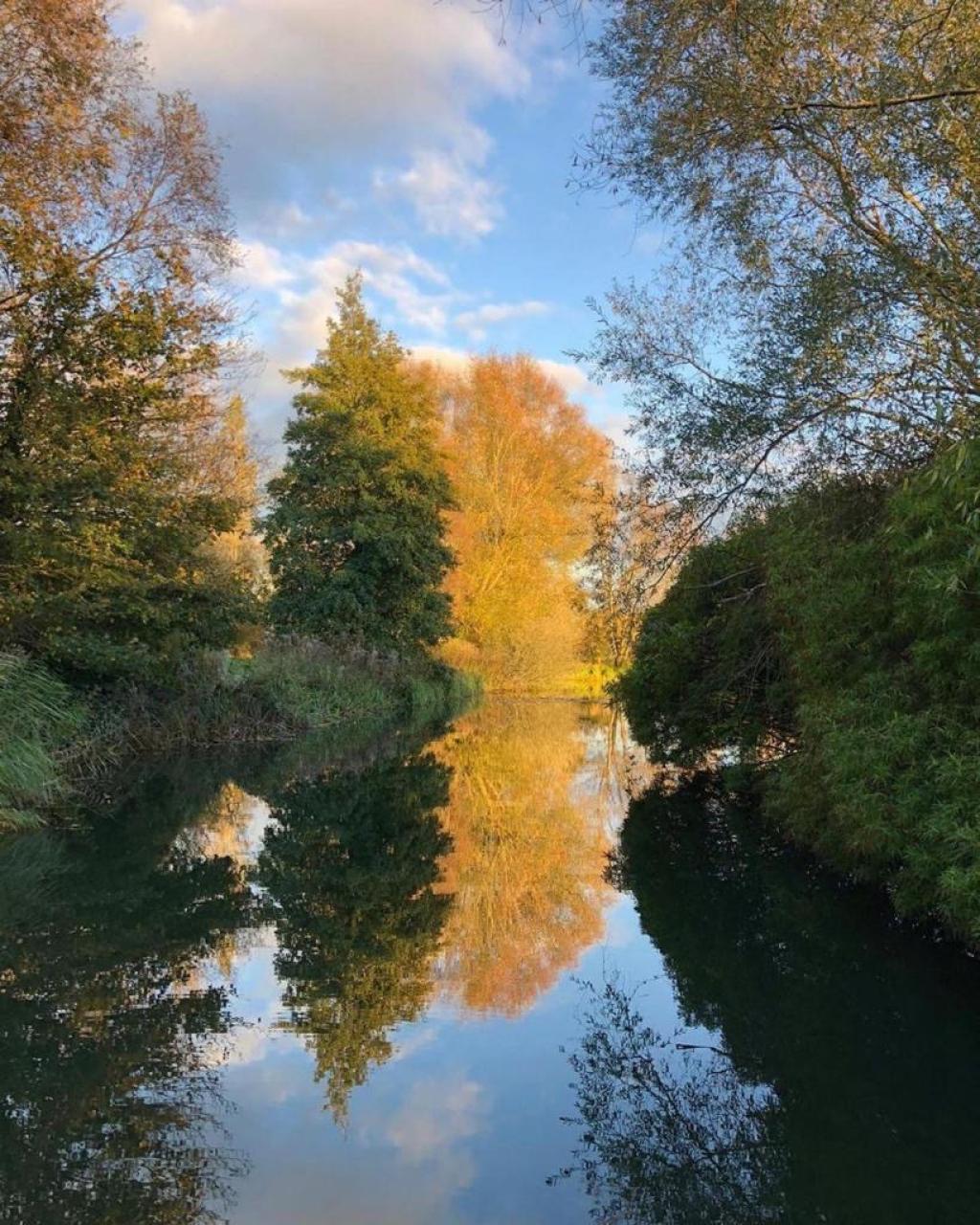 Sculpture by the Lakes: One of Dorset's Most Peaceful Escapes