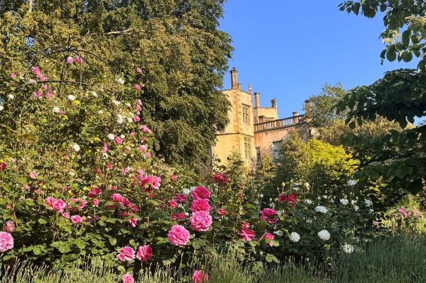 Cottage Gardens Are Back... And They’re Perfect for Dorset Homes