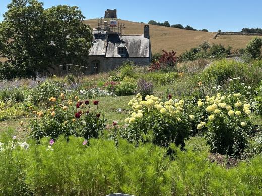 Cottage Gardens Are Back... And They’re Perfect for Dorset Homes