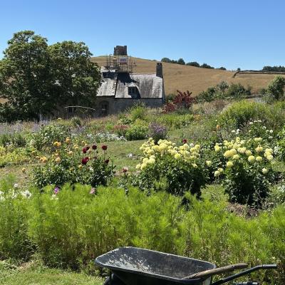 Cottage Gardens Are Back... And They’re Perfect for Dorset Homes