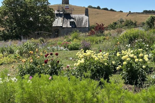 Cottage Gardens Are Back... And They’re Perfect for Dorset Homes