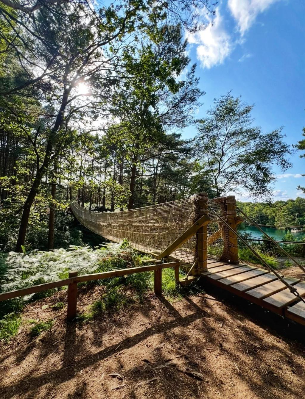 Visiting The Blue Pool Nature Reserve & Tearooms: Discovering Dorset’s Most Surreal Nature Reserve