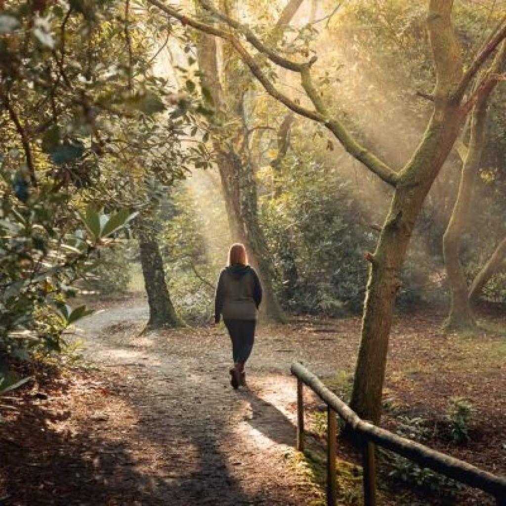 Visiting The Blue Pool Nature Reserve & Tearooms: Discovering Dorset’s Most Surreal Nature Reserve