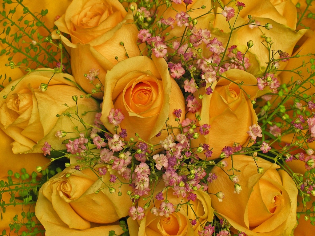 Compare Local Florists in Dorset