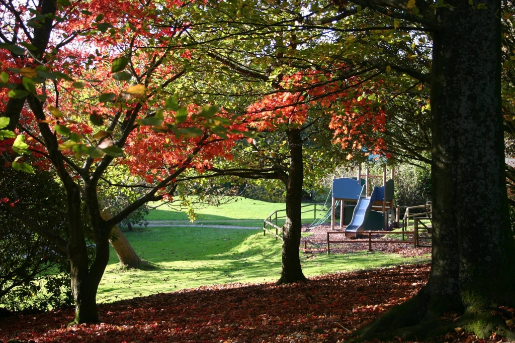 Castle Court School
