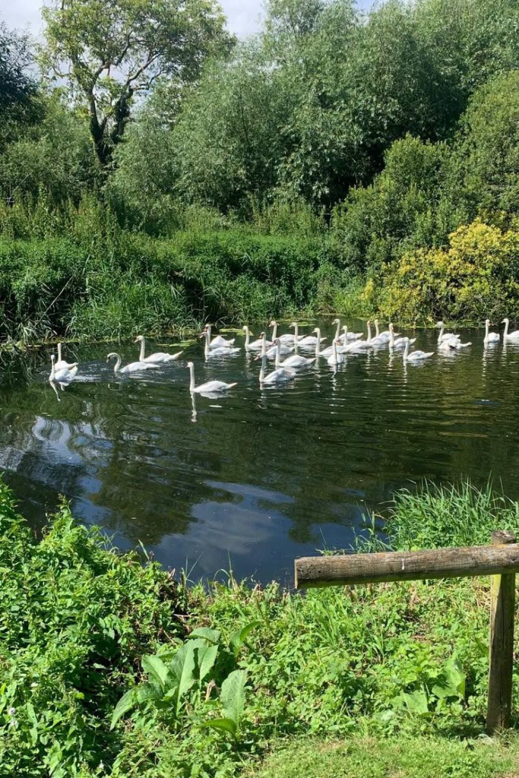 November in Dorset: 7 Brilliant Things to See, Do and Enjoy