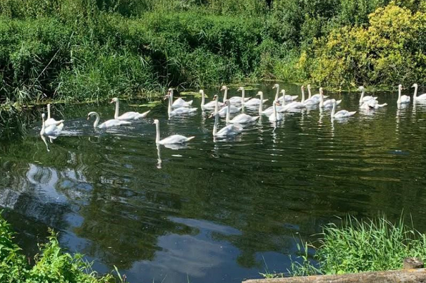 November in Dorset: 7 Brilliant Things to See, Do and Enjoy