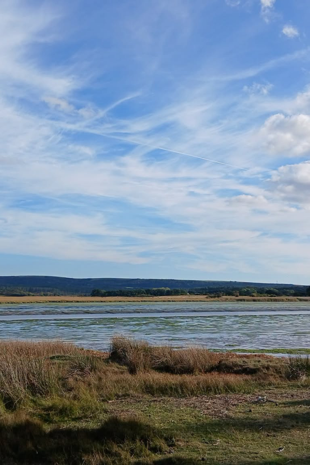 November in Dorset: 7 Brilliant Things to See, Do and Enjoy