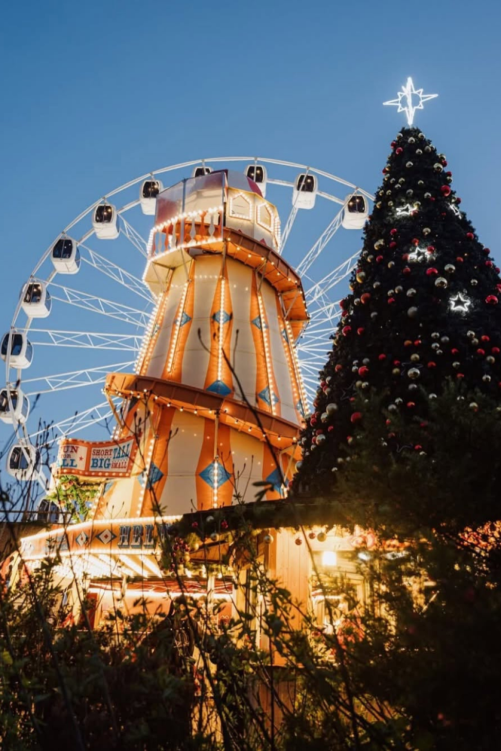 November in Dorset: 7 Brilliant Things to See, Do and Enjoy