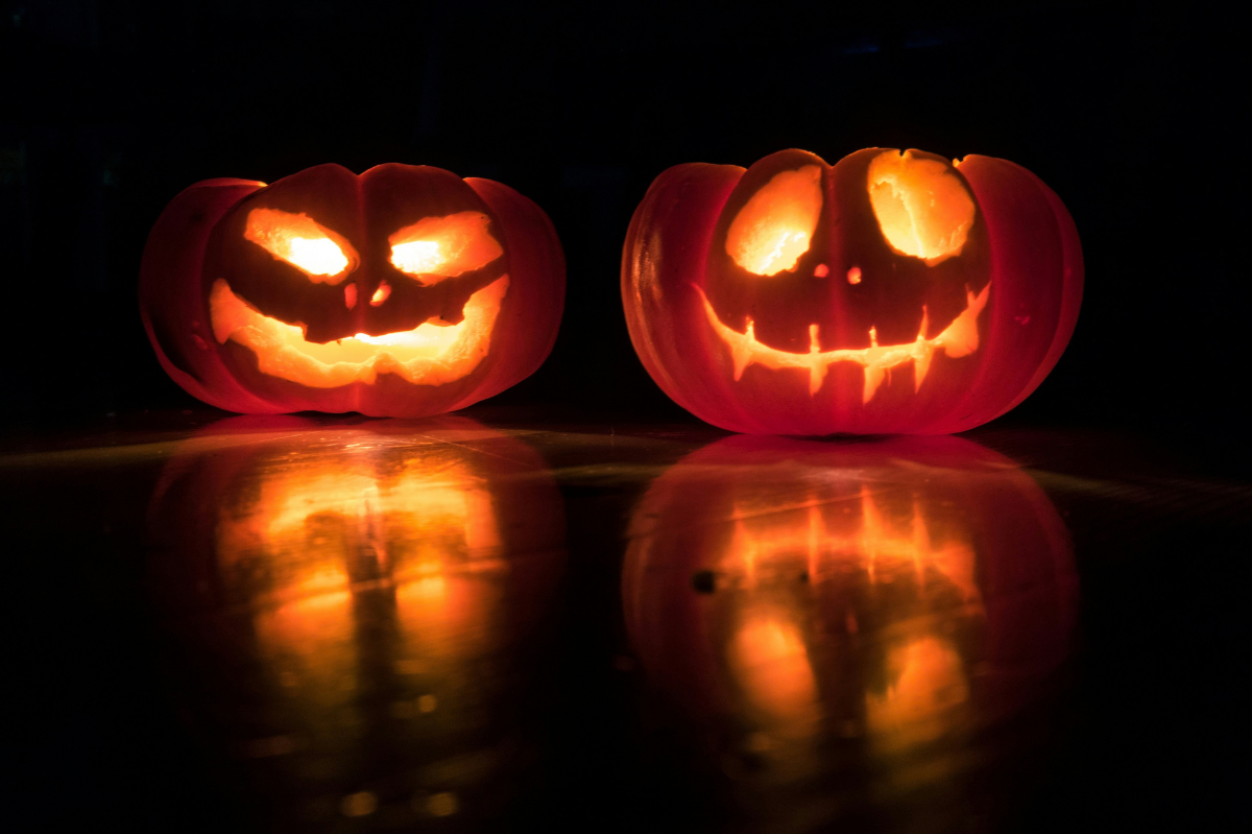 October in Christchurch: 5 Brilliant Things to See, Do and Enjoy