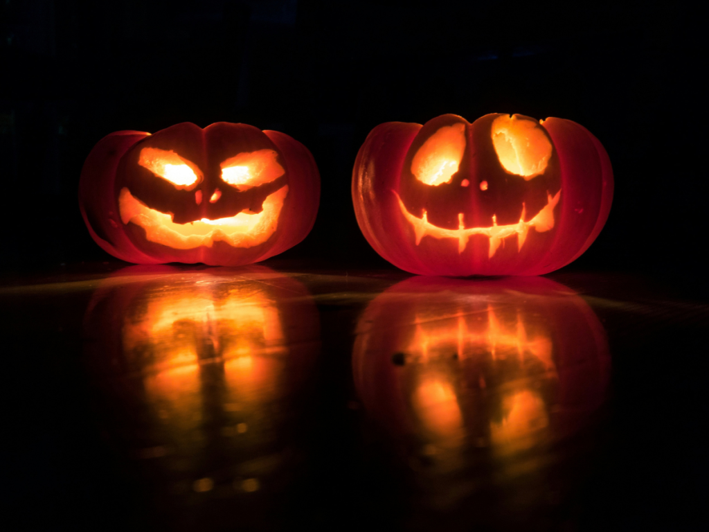 October in Christchurch: 7 Brilliant Things to See, Do and Enjoy