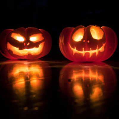 October in Christchurch: 5 Brilliant Things to See, Do and Enjoy