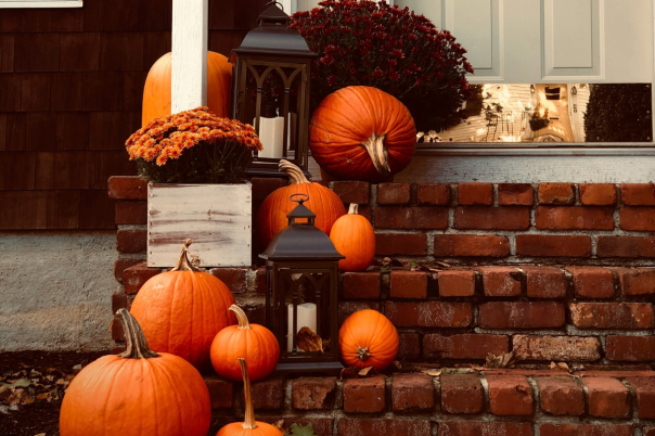 October in Christchurch: 5 Brilliant Things to See, Do and Enjoy